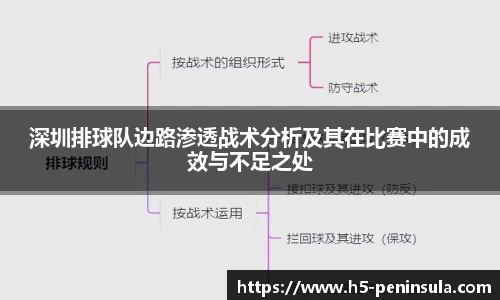 深圳排球队边路渗透战术分析及其在比赛中的成效与不足之处